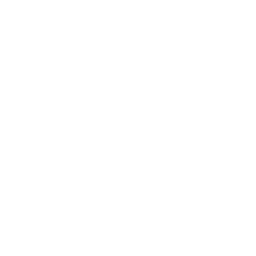 Dashgen logo
